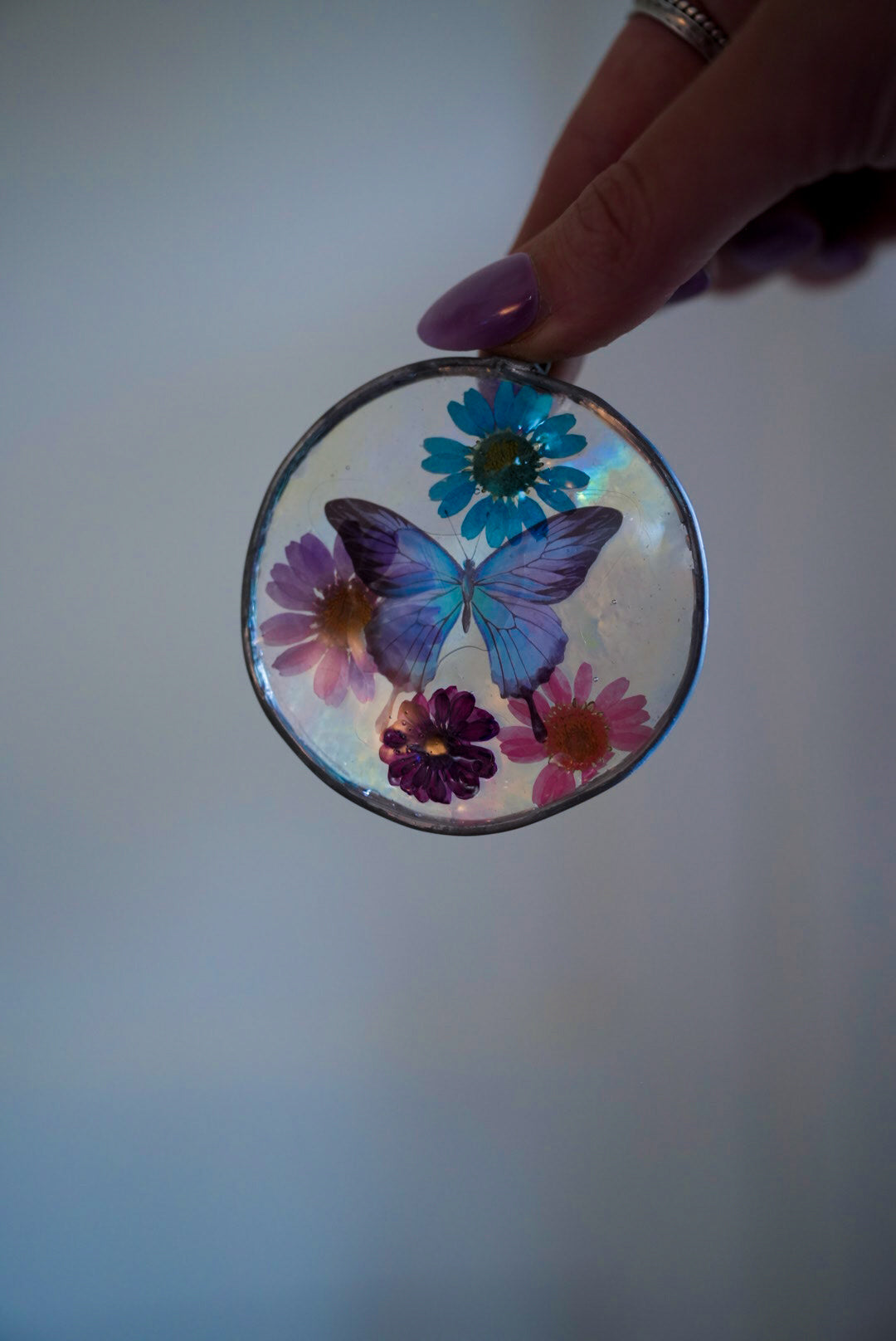 QS Butterfly Medallion