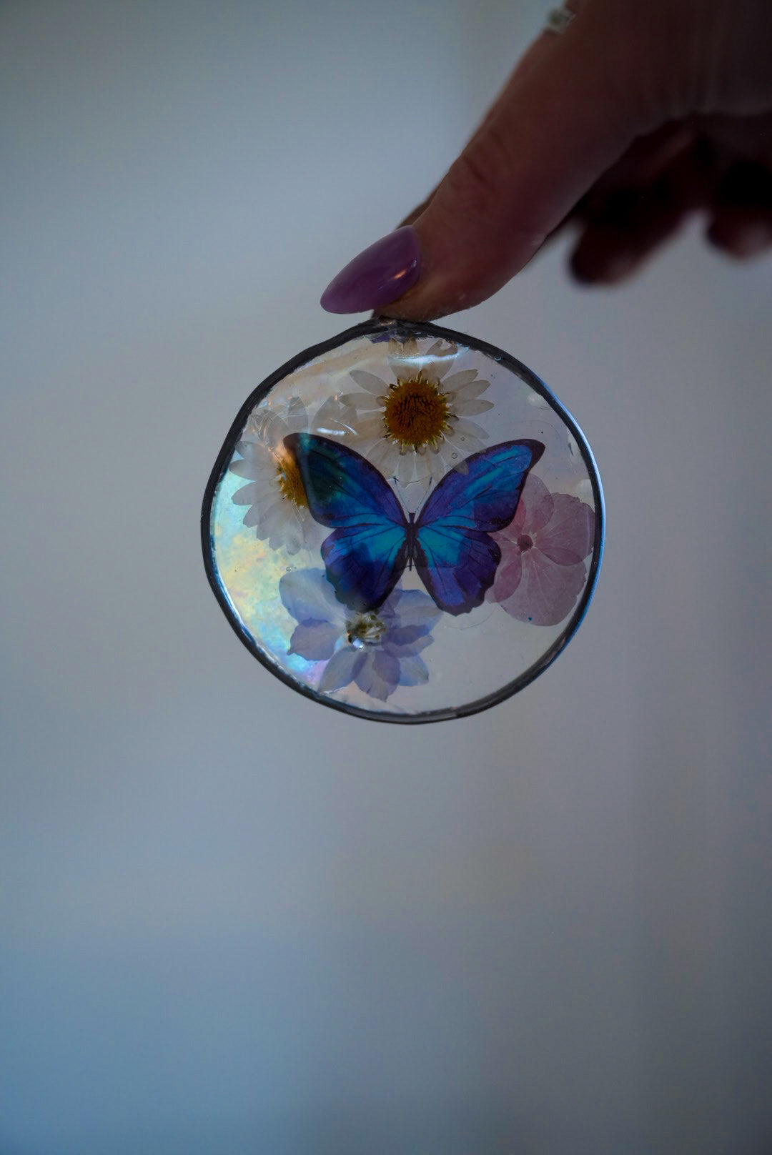 QS Butterfly Medallion