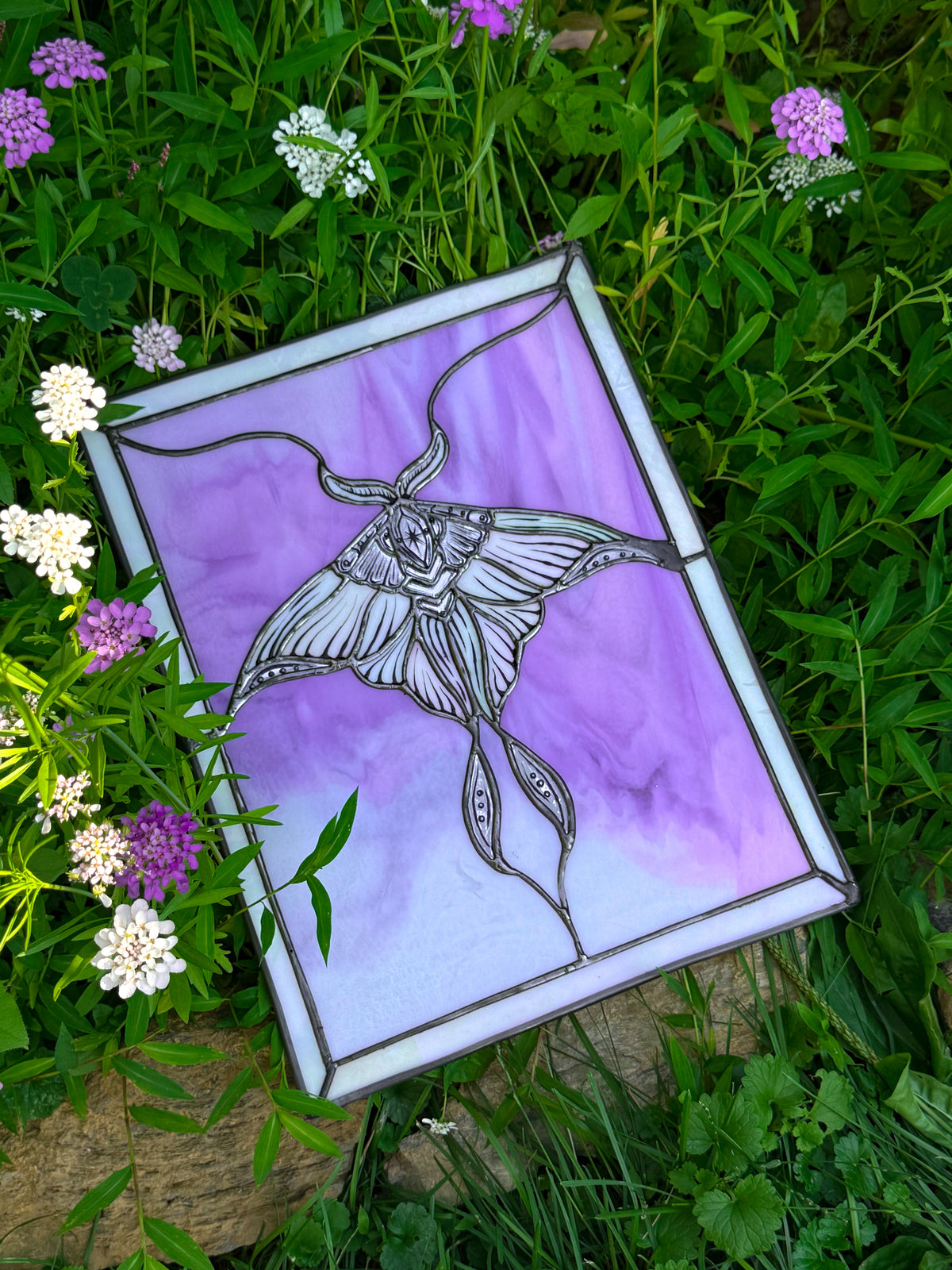 Armored Moth