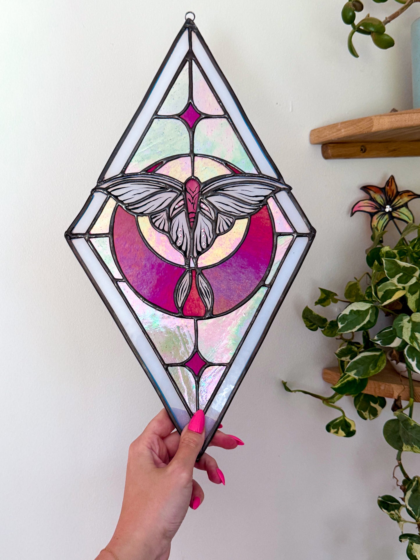 The Pink Moth