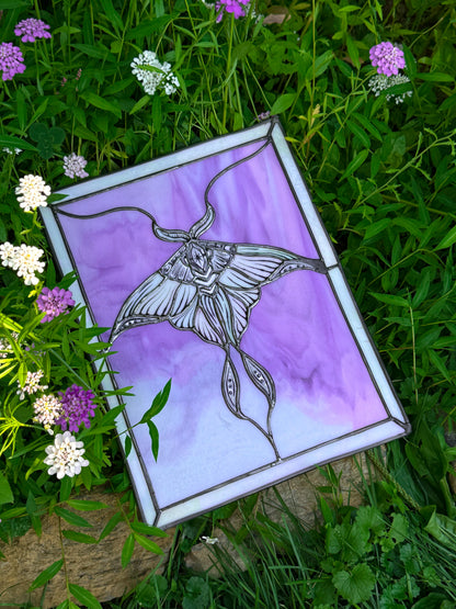 Armored Moth